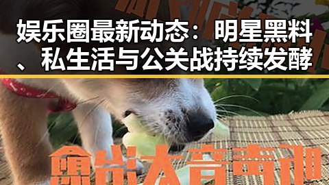 娱乐圈最新动态:明星黑料、私生活与公关战持续发酵